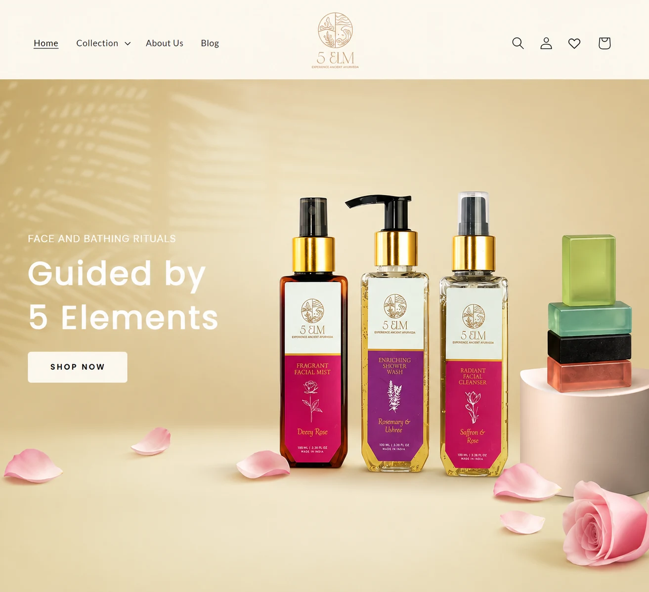 5 ELM India